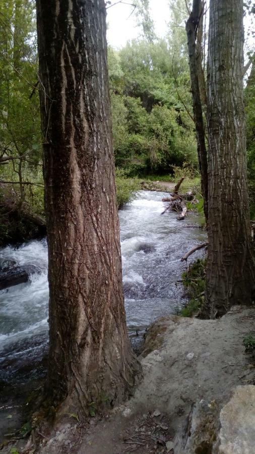 Terrazas De